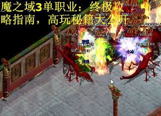 魔之域3单职业：终极攻略指南，高玩秘籍大公开