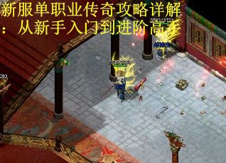 新服单职业传奇攻略详解：从新手入门到进阶高手