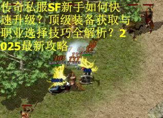 传奇私服SF新手如何快速升级？顶级装备获取与职业选择技巧全解析？2025最新攻略
