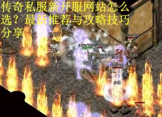 传奇私服新开服网站怎么选？最新推荐与攻略技巧分享