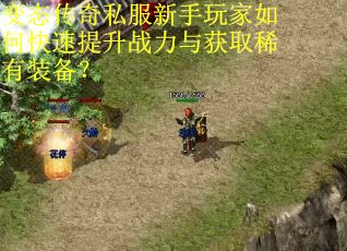 变态传奇私服新手玩家如何快速提升战力与获取稀有装备？