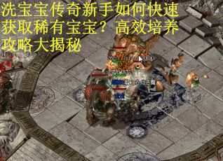 洗宝宝传奇新手如何快速获取稀有宝宝？高效培养攻略大揭秘