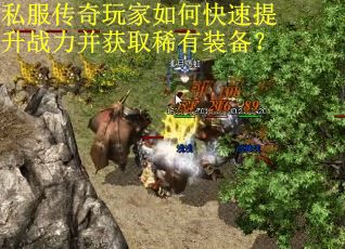私服传奇玩家如何快速提升战力并获取稀有装备? 私服传奇玩家如何快速提升战力并获取稀有装备?