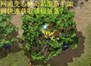 网通变态传奇私服新手如何快速获取顶级装备? 网通变态传奇私服新手如何快速获取顶级装备?