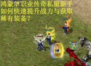 鸿蒙单职业传奇私服新手如何快速提升战力与获取稀有装备？