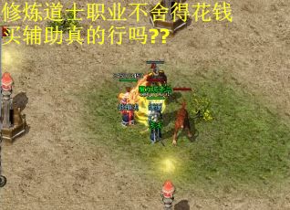 修炼道士职业不舍得花钱买辅助真的行吗??