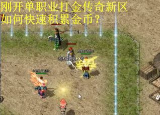 刚开单职业打金传奇新区如何快速积累金币？
