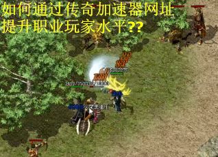 如何通过传奇加速器网址提升职业玩家水平?? 如何通过传奇加速器网址提升职业玩家水平??