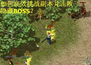 如何高效挑战副本并击败隐藏BOSS? 如何高效挑战副本并击败隐藏BOSS?