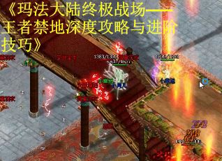 《玛法大陆终极战场——王者禁地深度攻略与进阶技巧》