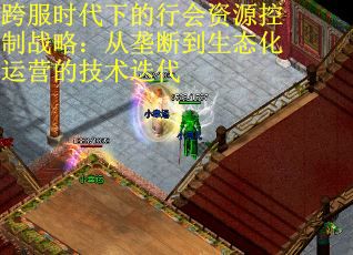跨服时代下的行会资源控制战略：从垄断到生态化运营的技术迭代