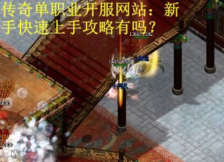 传奇单职业开服网站：新手快速上手攻略有吗？