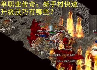 单职业传奇：新手村快速升级技巧有哪些？