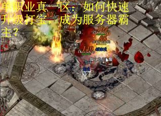 单职业真一区：如何快速升级打宝，成为服务器霸主？