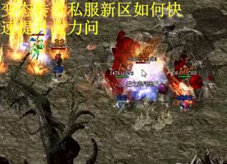 变态传世私服新区如何快速提升战力问