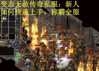 变态无赦传奇私服：新人如何快速上手，称霸全服？