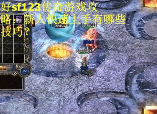 好sf123传奇游戏攻略：新人快速上手有哪些技巧？
