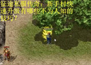 征途私服传奇：新手村快速升级有哪些不为人知的技巧？