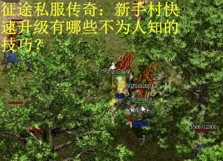 征途私服传奇：新手村快速升级有哪些不为人知的技巧？