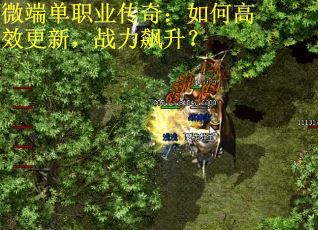 微端单职业传奇：如何高效更新，战力飙升？