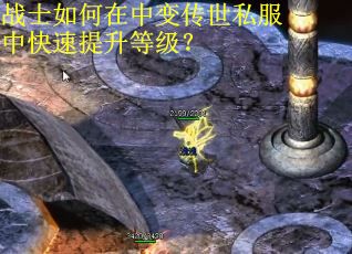 战士如何在中变传世私服中快速提升等级？