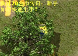 新开70金币传奇：新手如何快速上手？