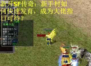新开SF传奇：新手村如何快速发育，成为大佬指日可待？