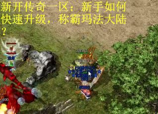 新开传奇一区：新手如何快速升级，称霸玛法大陆？