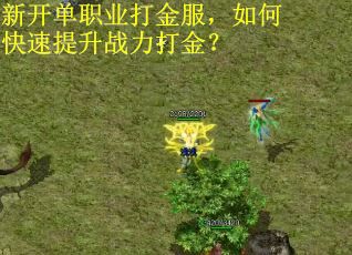 新开单职业打金服，如何快速提升战力打金？