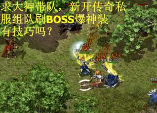 求大神带队，新开传奇私服组队刷BOSS爆神装有技巧吗？