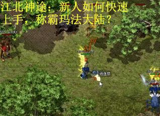 江北神途：新人如何快速上手，称霸玛法大陆？