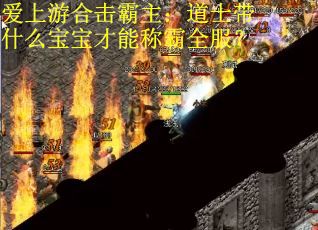 爱上游合击霸主：道士带什么宝宝才能称霸全服？