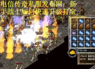 电信传奇私服发布网：新手战士如何快速升级打宝？