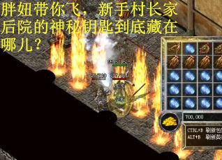 胖妞带你飞，新手村长家后院的神秘钥匙到底藏在哪儿？