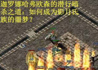 迦罗娜哈弗欧森的潜行暗杀之道：如何成为影月氏族的噩梦？