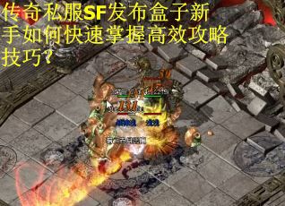传奇私服SF发布盒子新手如何快速掌握高效攻略技巧？