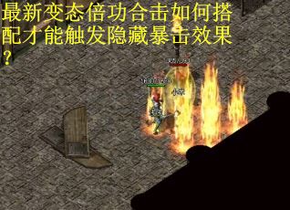 最新变态倍功合击如何搭配才能触发隐藏暴击效果? 最新变态倍功合击如何搭配才能触发隐藏暴击效果?