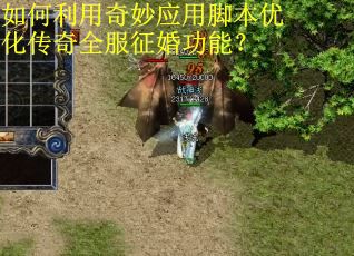 如何利用奇妙应用脚本优化传奇全服征婚功能？