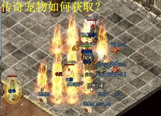 传奇宠物如何获取？