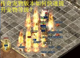 传奇宠物版本如何快速提升宠物等级? 传奇宠物版本如何快速提升宠物等级?