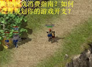 传奇游戏消费指南？如何合理规划你的游戏开支？