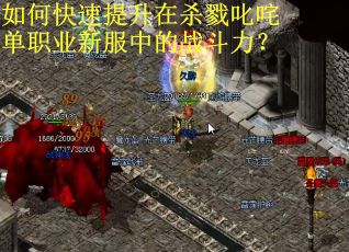 如何快速提升在杀戮叱咤单职业新服中的战斗力？