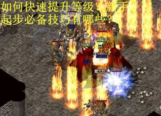 如何快速提升等级？新手起步必备技巧有哪些？