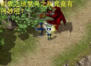 流放之地禁灵之瓶究竟有何妙用？