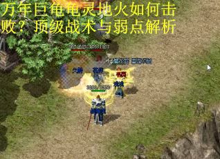 万年巨龟龟灵地火如何击败？顶级战术与弱点解析
