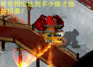 传奇钳虫达到多少级才能被招募？