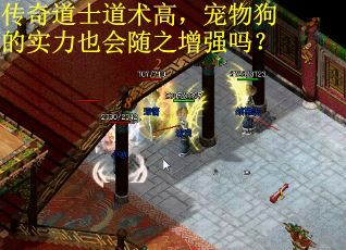 传奇道士道术高，宠物狗的实力也会随之增强吗？